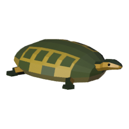 Tortuga